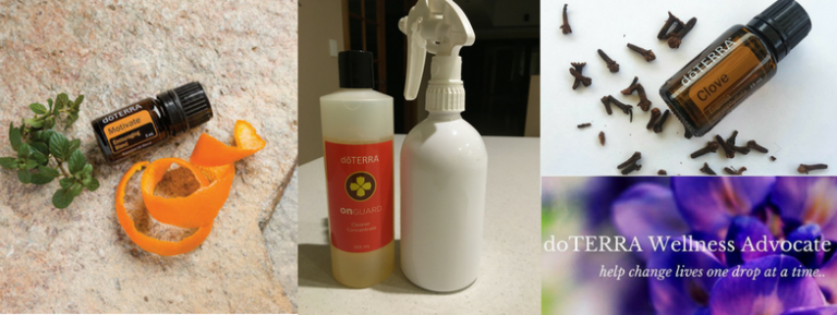 11 Reasons Why Having A Toxin Free Cleaner Is An Investment… Not An Expense!